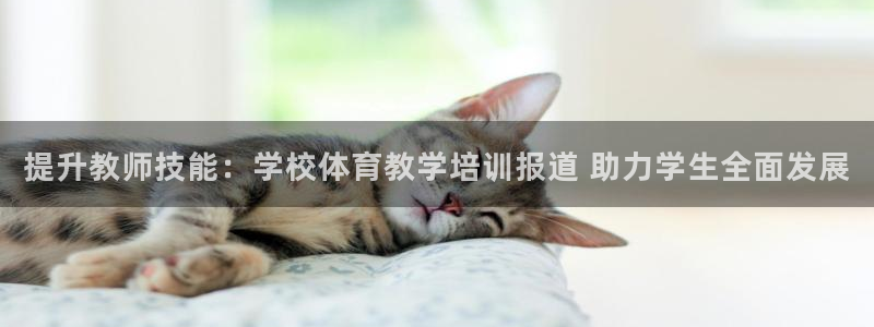 富联股份股票怎么样：提升教师技能：学校体育教学培训报
