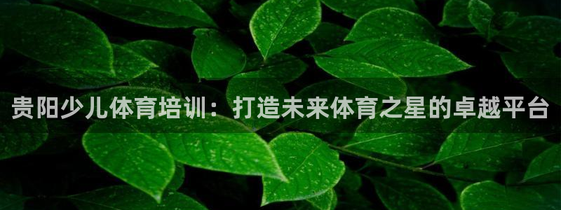 富联科技上市了吗：贵阳少儿体育培训：打造未来体育之星