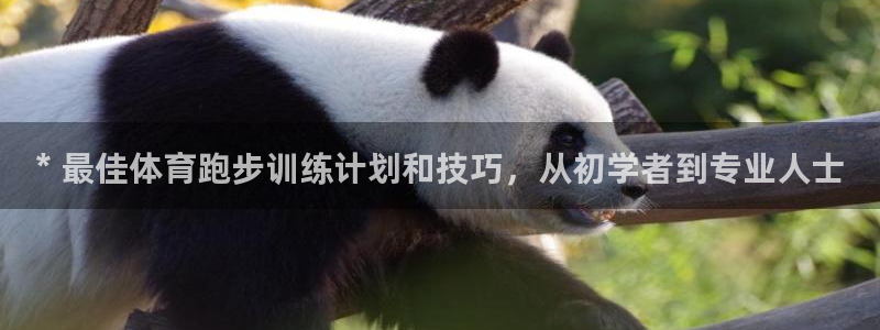 富联商标：* 最佳体育跑步训练计划和技巧，从初学者到