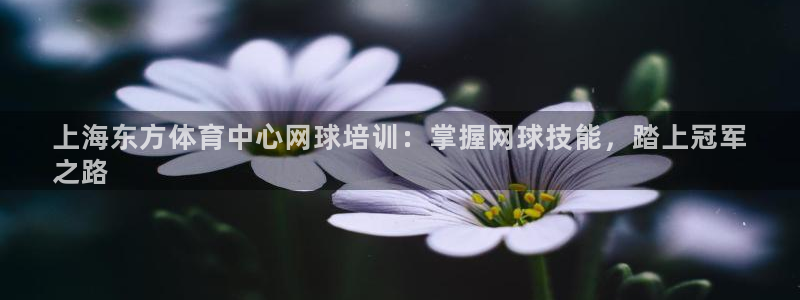 富联娱乐正规吗可靠吗：上海东方体育中心网球培训：掌握