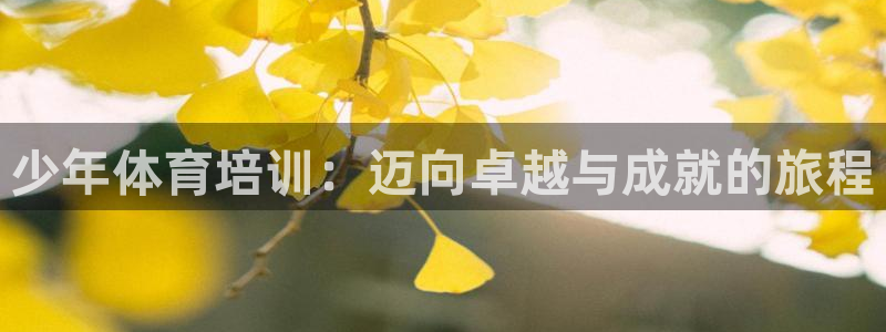 富联平台代理注册要钱吗：少年体育培训：迈向卓越与成就