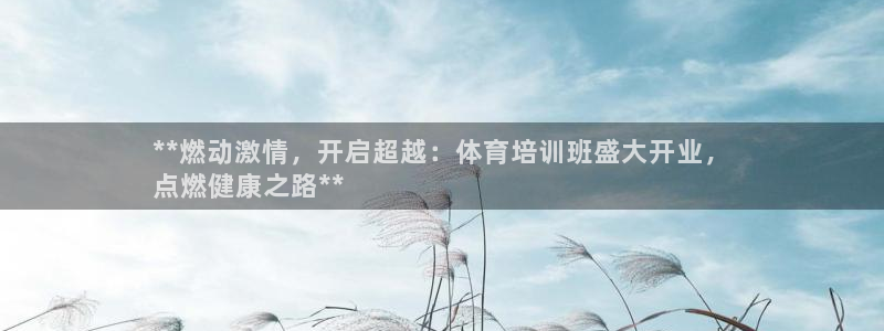 富联娱乐老板：**燃动激情，开启超越：体育培训班盛大