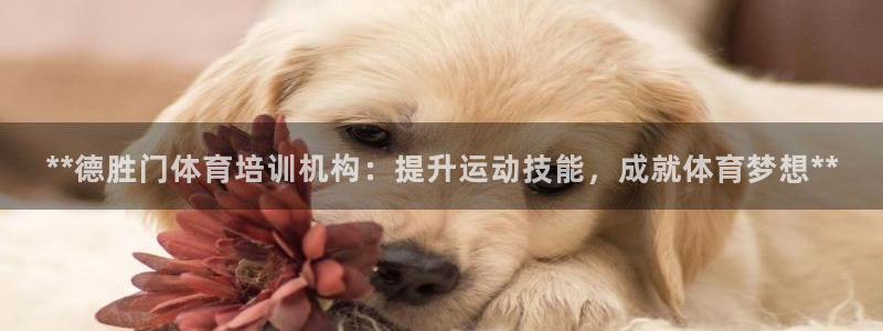 富联娱乐服务站：**德胜门体育培训机构：提升运动技能
