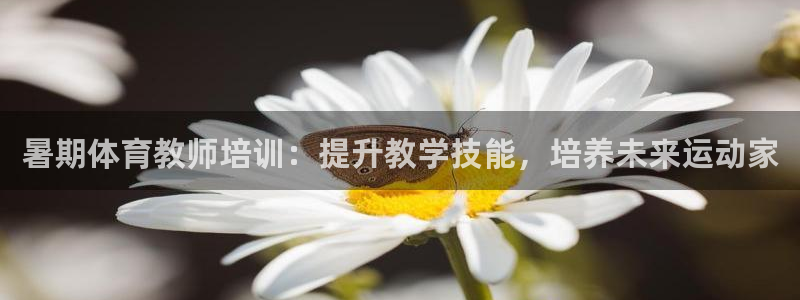 富联平台用户登陆：暑期体育教师培训：提升教学技能，培