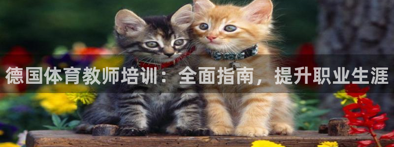 富联集团做什么的呀：德国体育教师培训：全面指南，提升