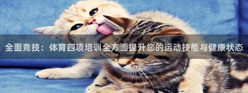 富联平台招商