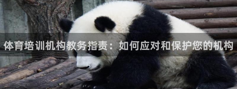 富联官网代理系列：体育培训机构教务指责：如何应对和保