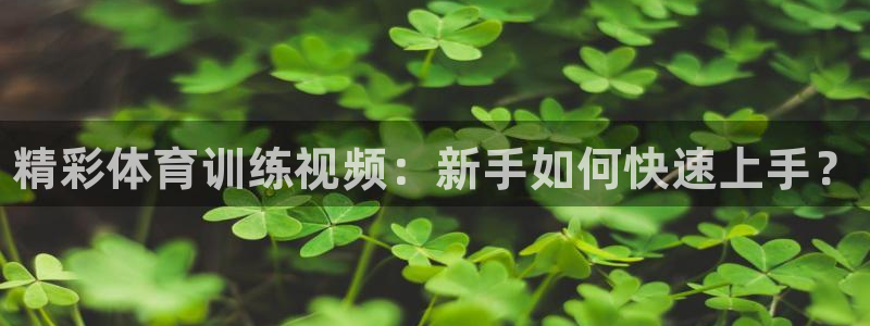 富联娱乐官方网站入口：精彩体育训练视频：新手如何快速上手？