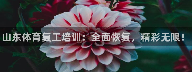 富联平台强 3.7.oo.7.3.5：山东体育复工培