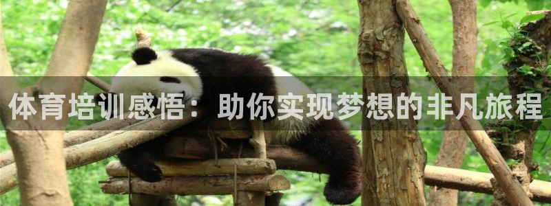 江西富联地产：体育培训感悟：助你实现梦想的非凡旅程