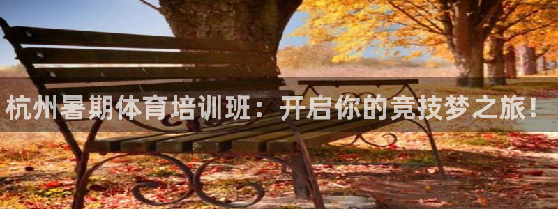 富联官方网站入口查询：杭州暑期体育培训班：开启你的竞技梦之旅