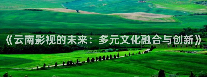 全球最大影院b影院