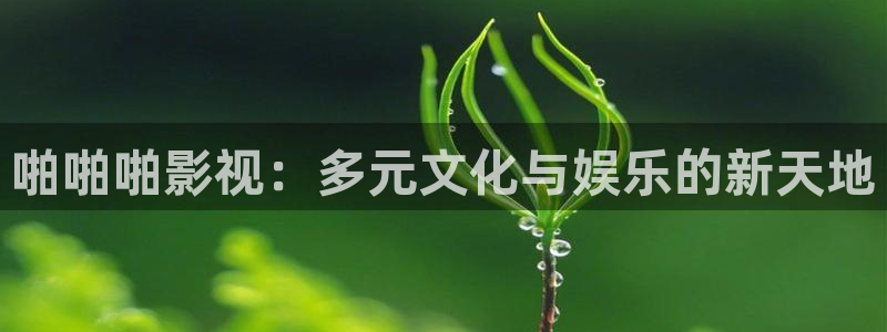 b影院全球最大的影视影院