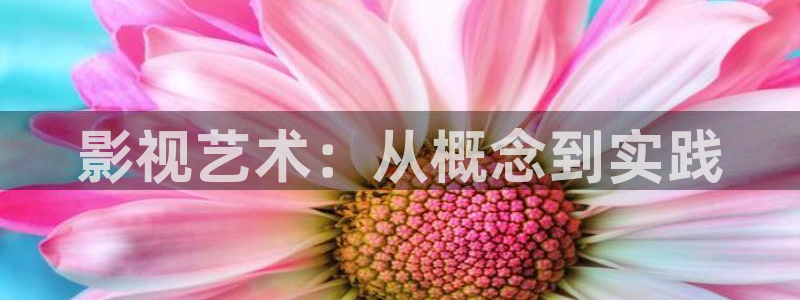 欧美b影院