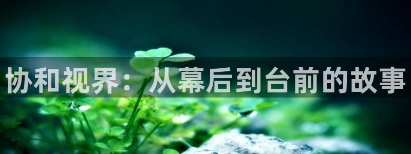 b影院全球最大的影库永久观看
