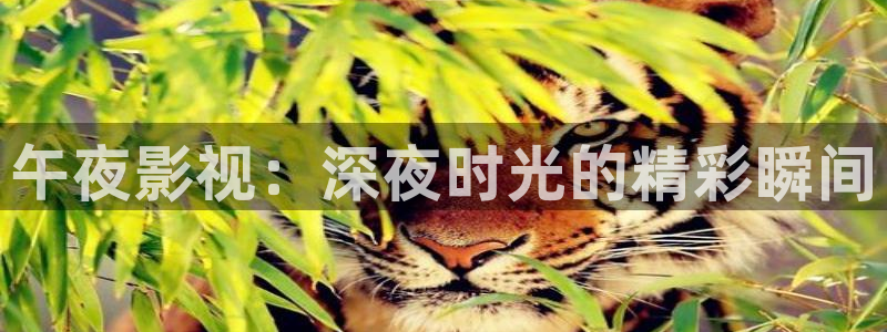 b影院全球最大的影院