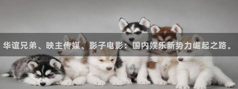 b影视