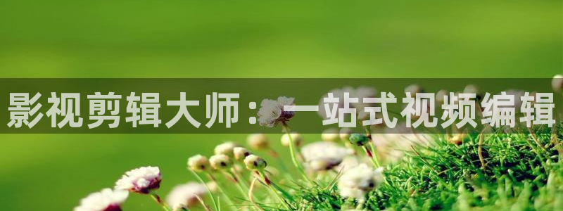 b影院在线
